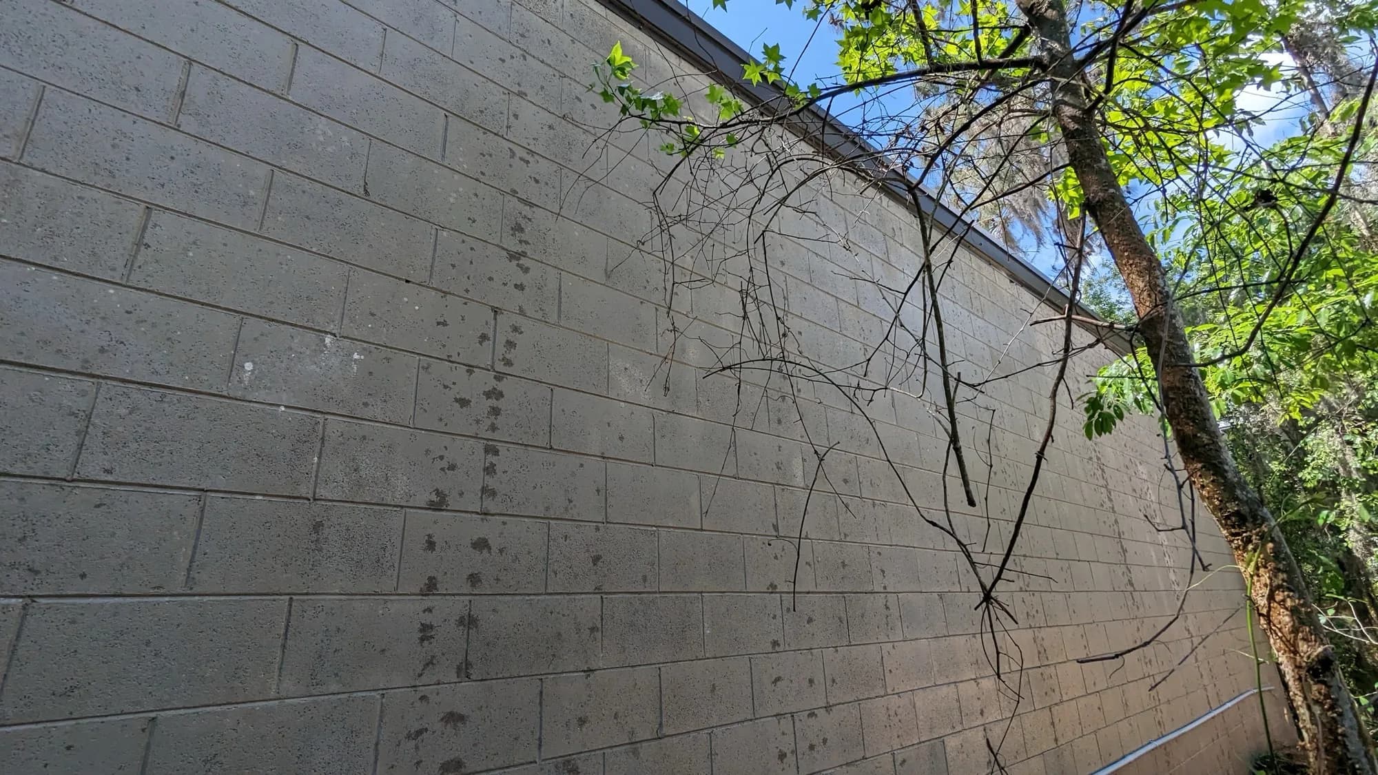 Close-up of stained concrete block wall with mildew before cleaning