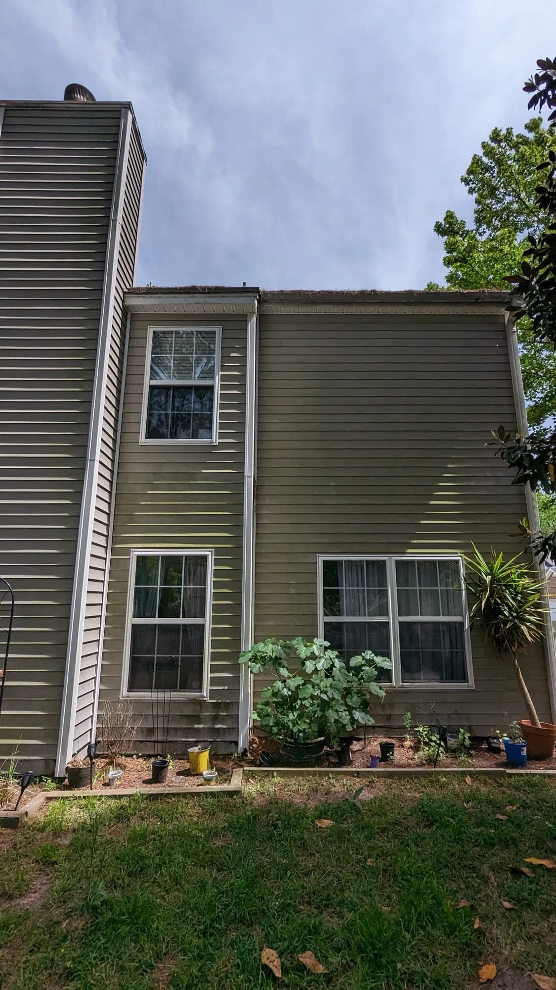 Tall house siding with dark mildew staining before cleaning