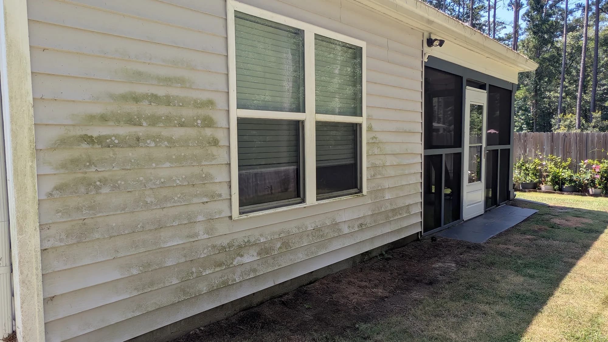 Vinyl siding with heavy green algae growth below the windows before washing